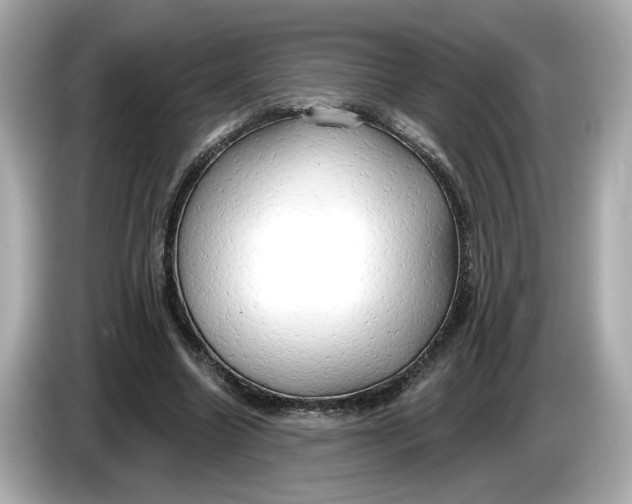 X0000086000538200704091039