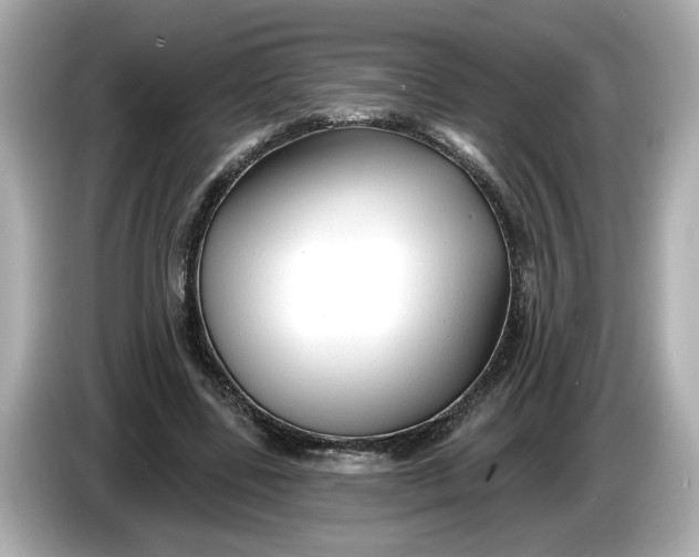 X0000086000539200704091039