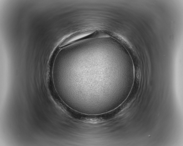 X0000086000540200704091039