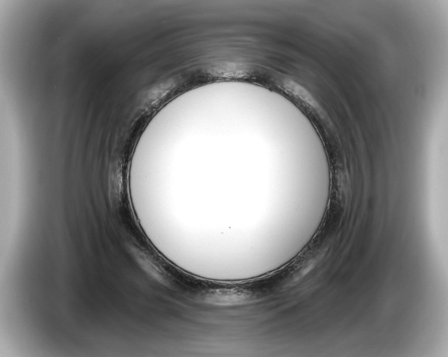 X0000086000541200704091039