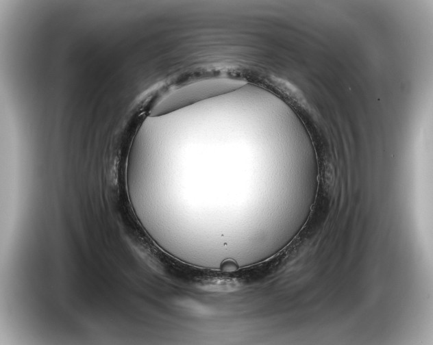 X0000086000543200704091039