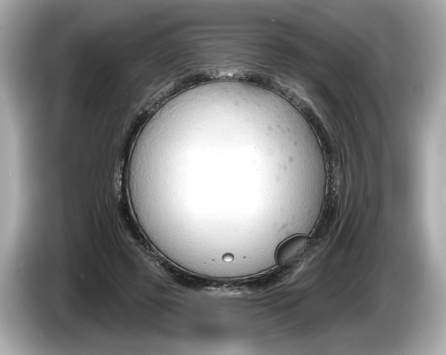 X0000086000545200704091039