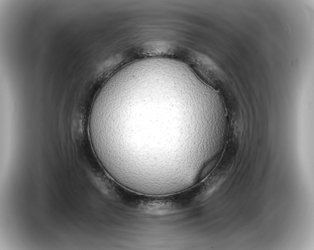 X0000086000546200704091039