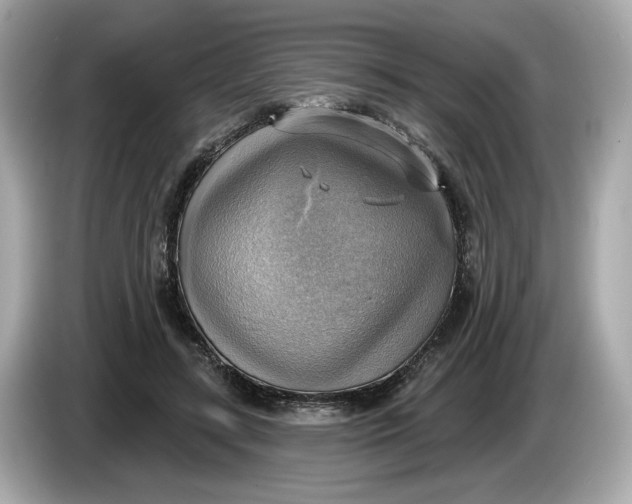 X0000086000547200704091039