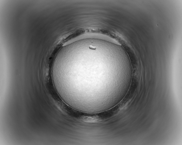 X0000086000548200704091039