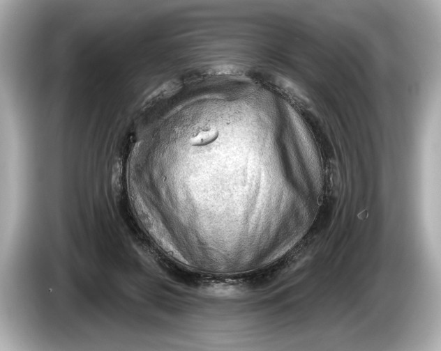 X0000086000550200704091039