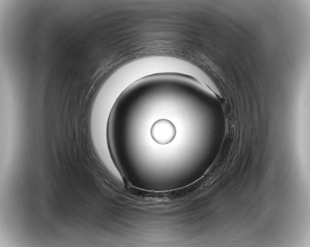 X0000086000552200704091039