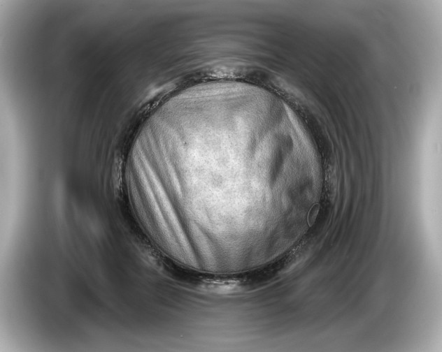 X0000086000554200704091039