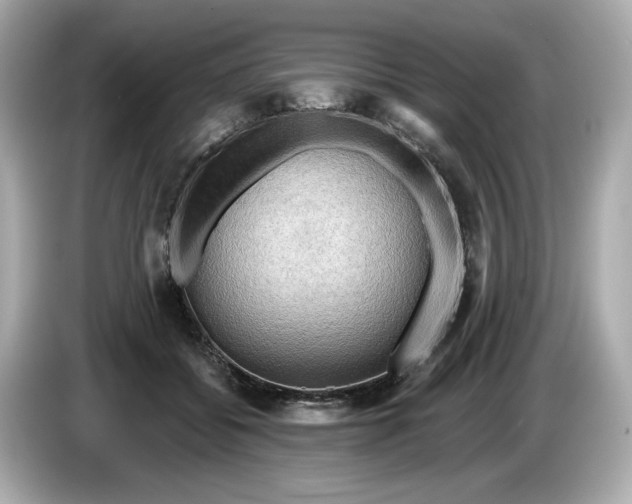 X0000086000556200704091039