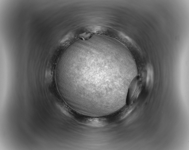 X0000086000558200704091039