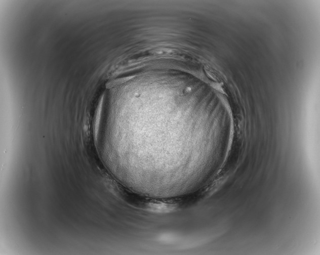 X0000086000561200704091039