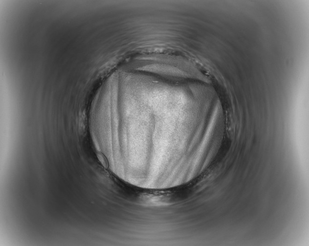 X0000086000563200704091039