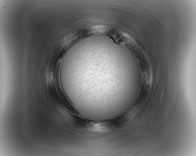 X0000086000564200704091039