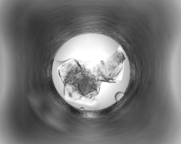 X0000086000565200704091039