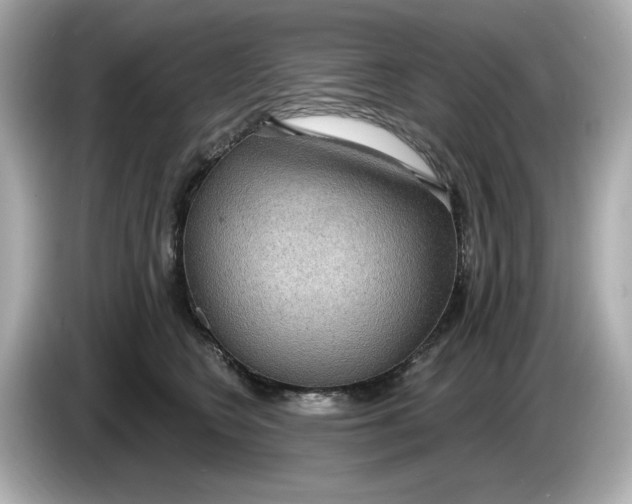 X0000086000566200704091039