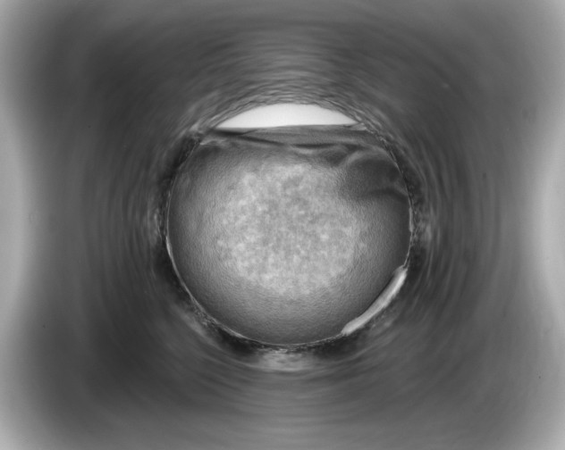 X0000086000568200704091039