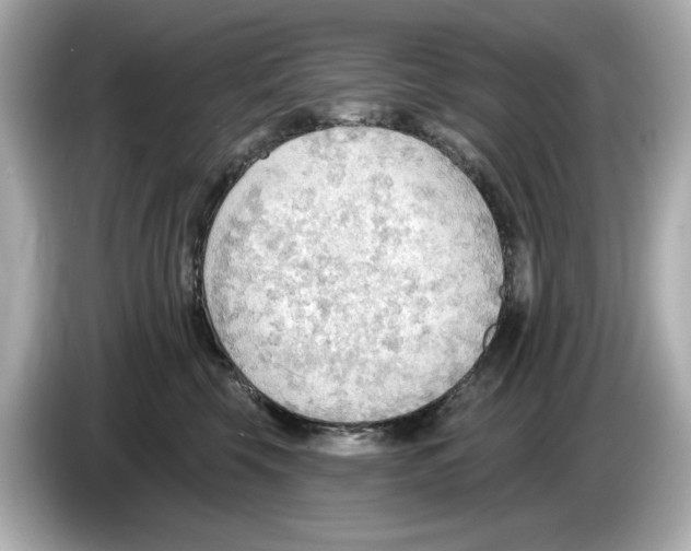 X0000086000569200704091039