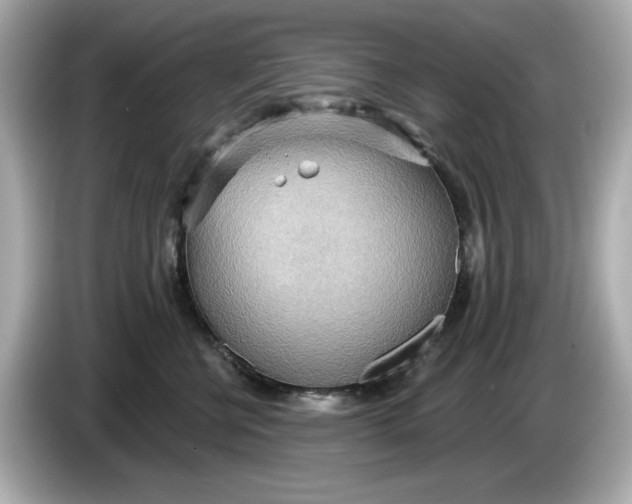 X0000086000570200704091039