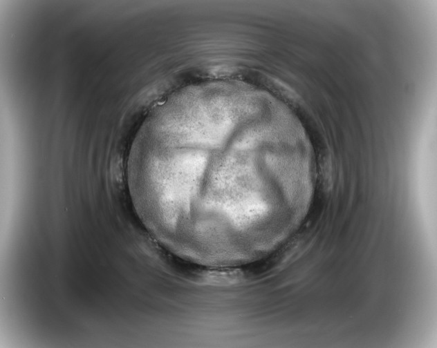 X0000086000571200704091039