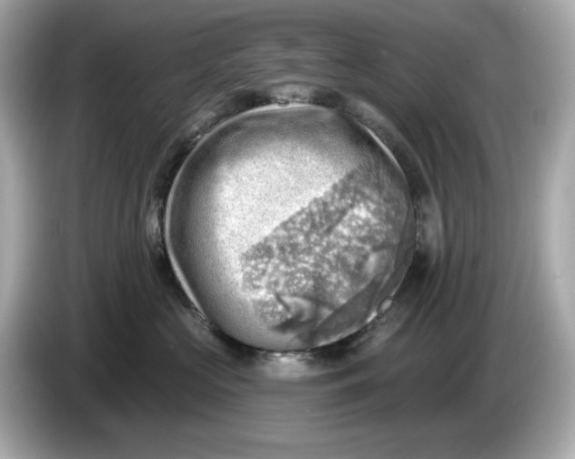 X0000086000573200704091039