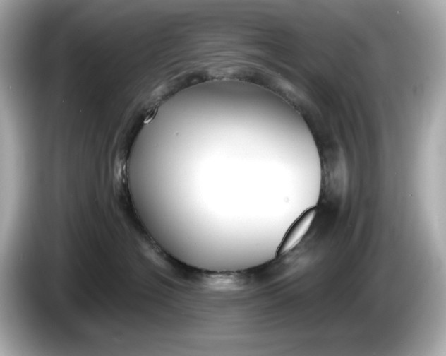 X0000086000574200704091039