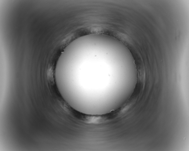 X0000086000575200704091039