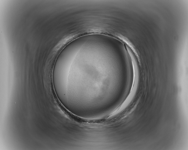 X0000086000577200704091039