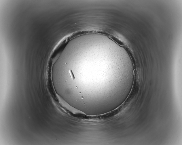 X0000086000580200704091039