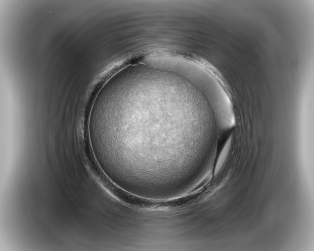 X0000086000581200704091039