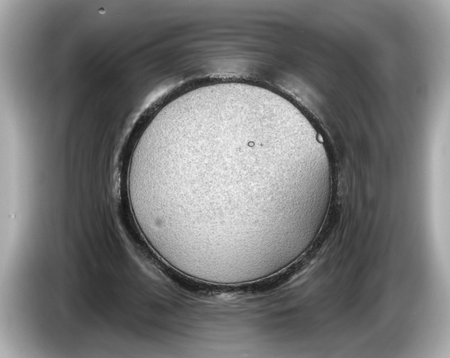 X0000086000584200704091039