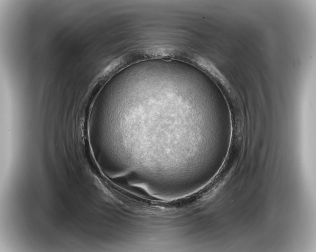 X0000086000585200704091039