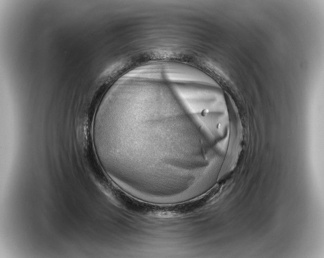 X0000086000590200704091039