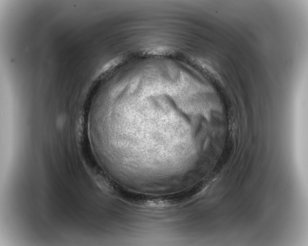 X0000086000591200704091039