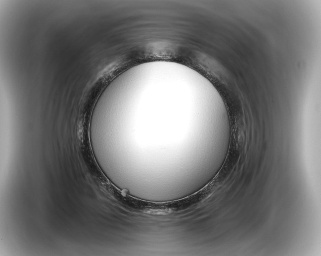 X0000086000595200704091039