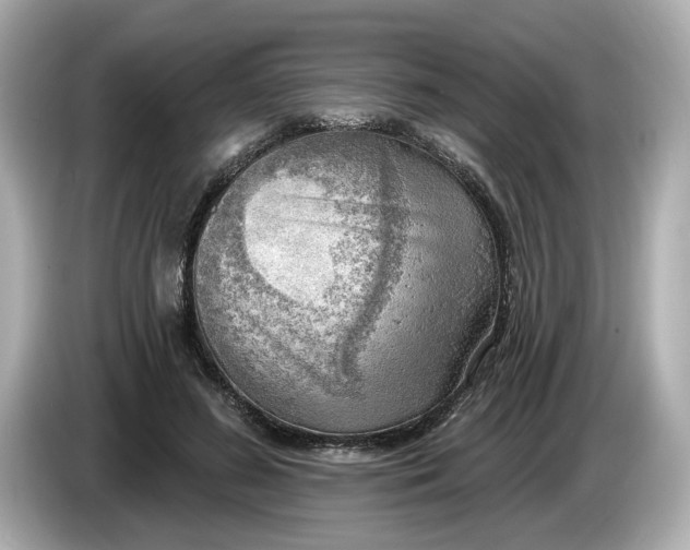 X0000086000596200704091039