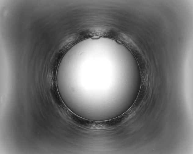 X0000086000599200704091039