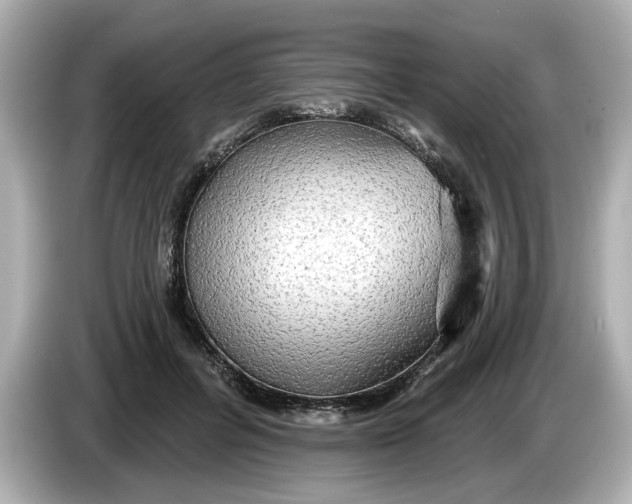 X0000086000600200704091039