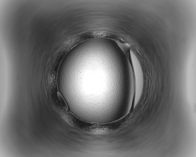 X0000086000601200704091039