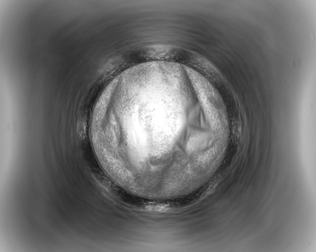 X0000086000602200704091039