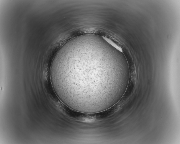 X0000086000604200704091039