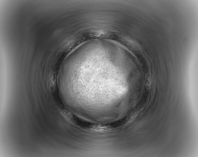 X0000086000607200704091039