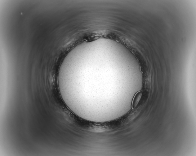 X0000086000608200704091039