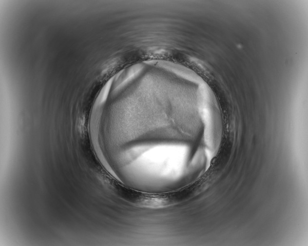 X0000086000610200704091039