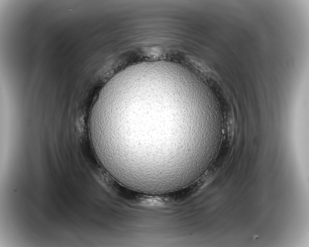 X0000086000611200704091039