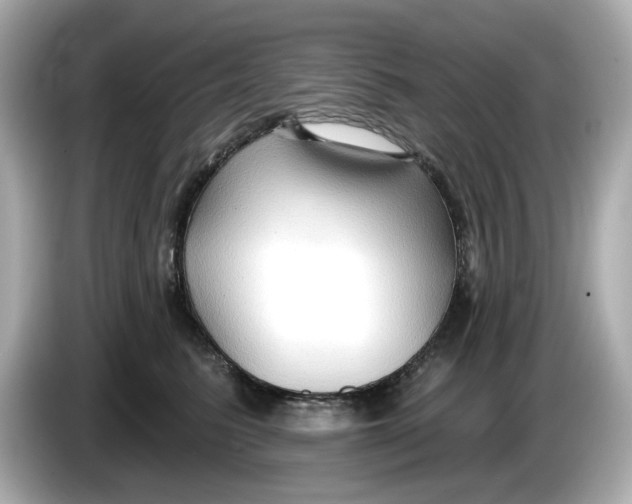 X0000086000615200704091038