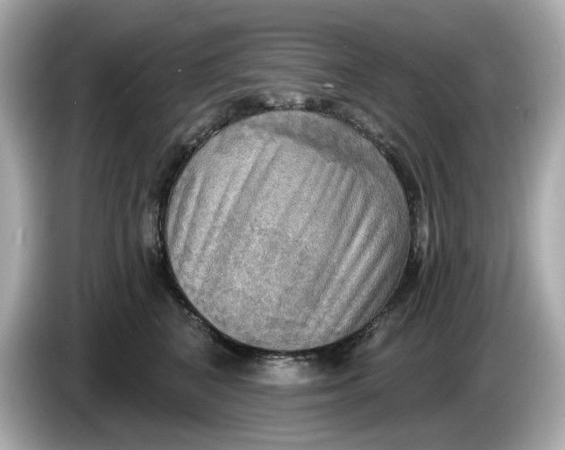 X0000086000616200704091038