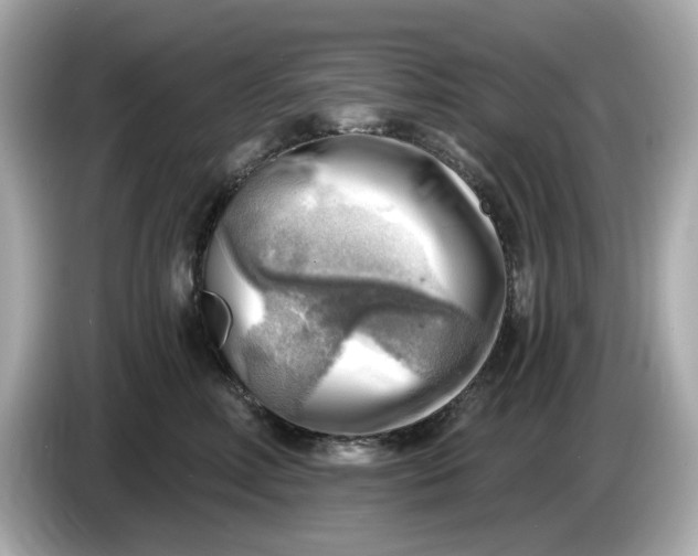 X0000086000618200704091038