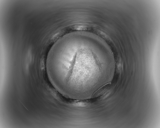 X0000086000620200704091038