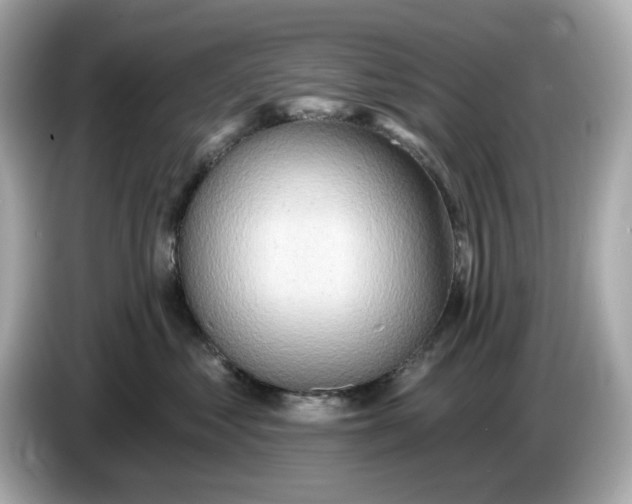 X0000086000621200704091038