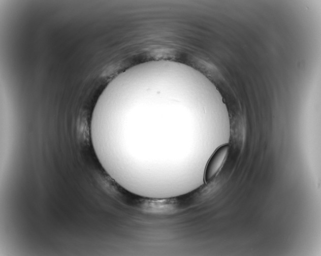 X0000086000622200704091038